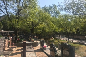 八达岭陵园环境实拍及周边设施指南